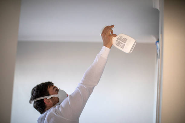 Office Mold Removal Services in Glens Falls North, NY